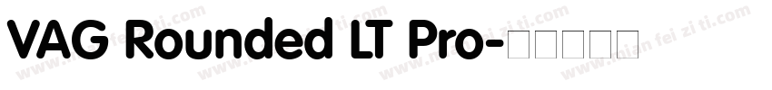 VAG Rounded LT Pro字体转换